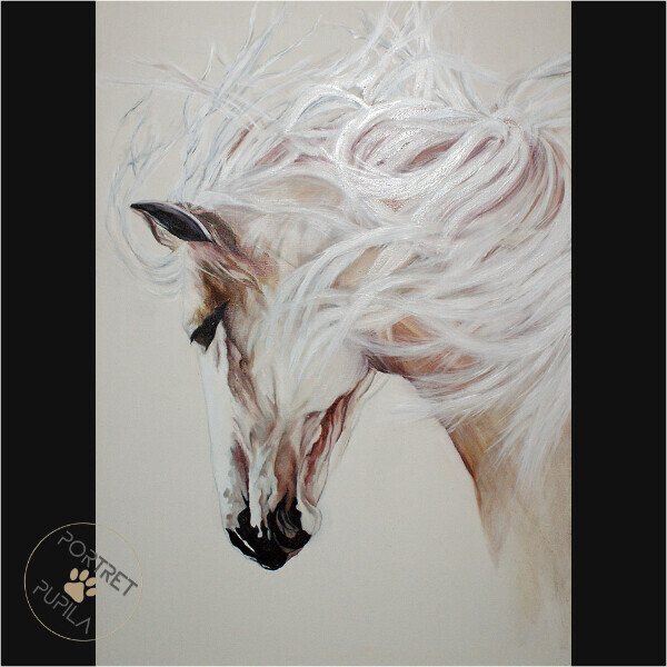 horse-003-portret-pupila-pl