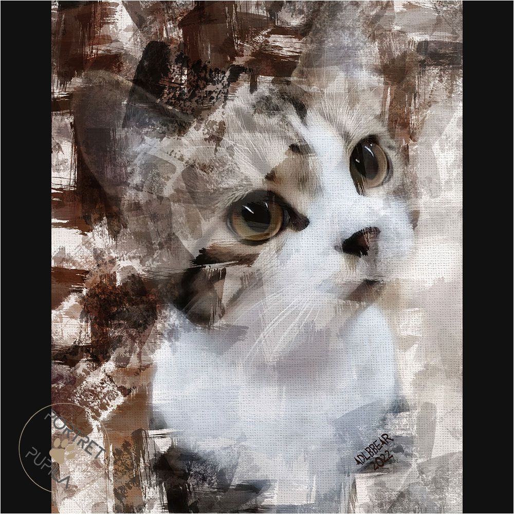 cat-037-portret-pupila-pl