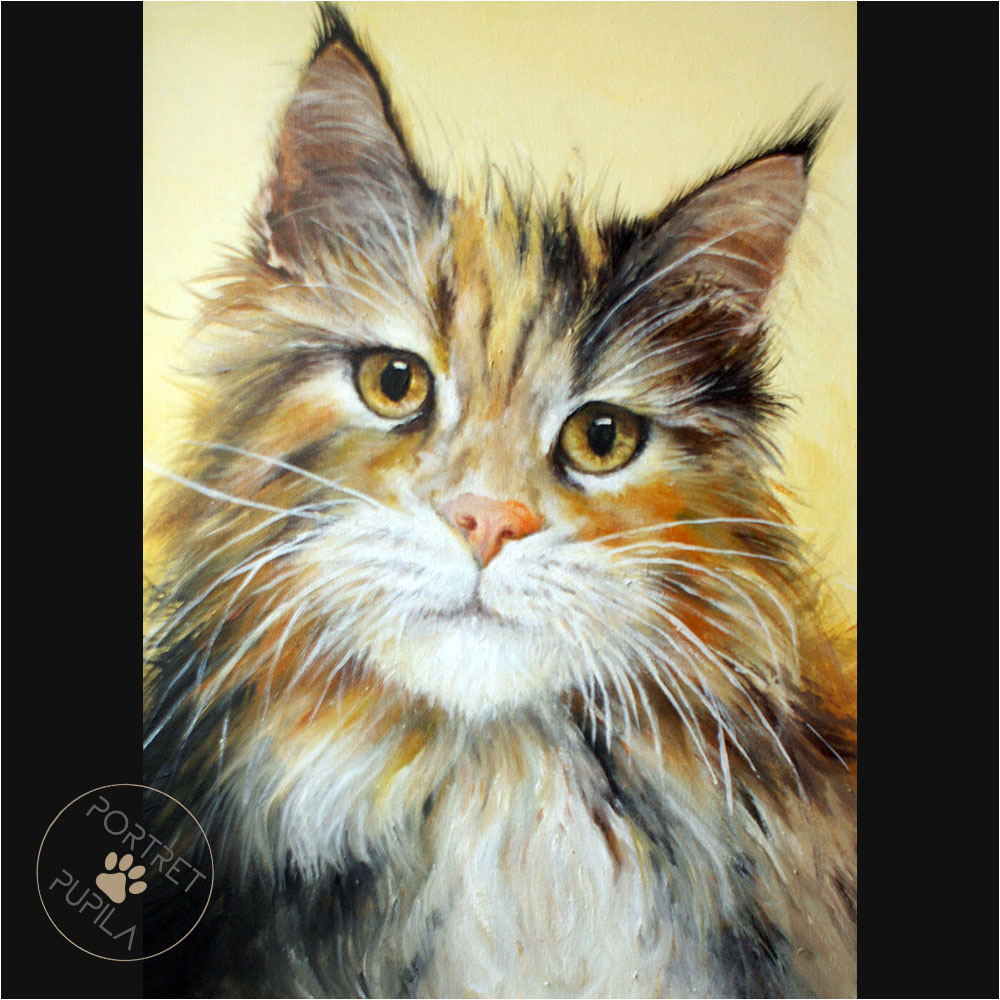 cat-04-portret-pupila-pl
